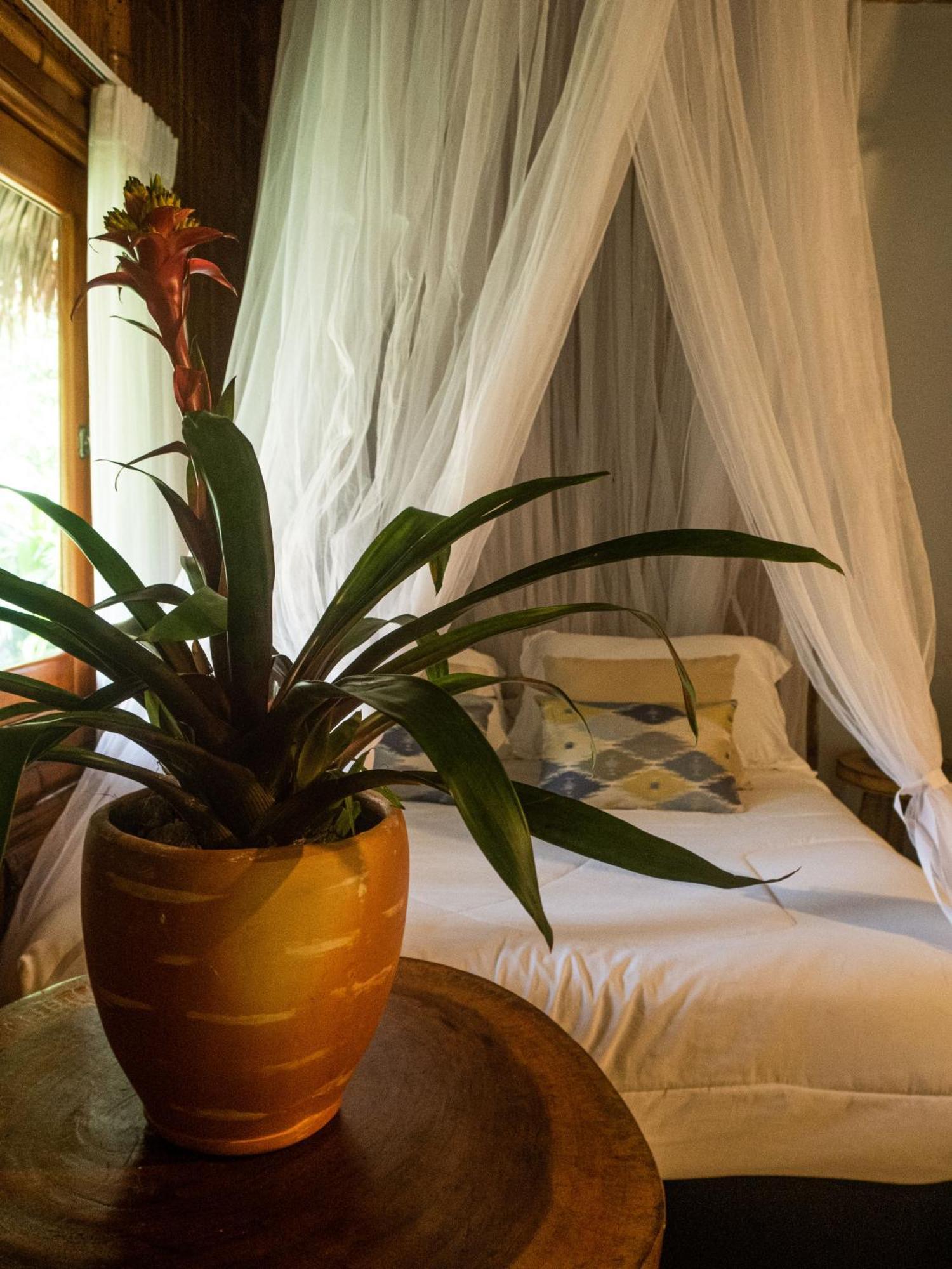 Hotel Ecohabs Bamboo Tayrona - Dentro Del Parque Tayrona